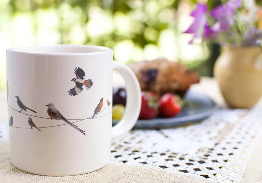 Birds on a Wire | MUG*
