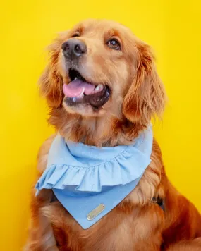 Chambray Ruffle Bandana for Dogs (Made in the USA) Chambray Ruffle Bandana for Dogs (Made in the USA)