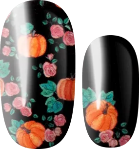 Midnight Picking Midnight Picking