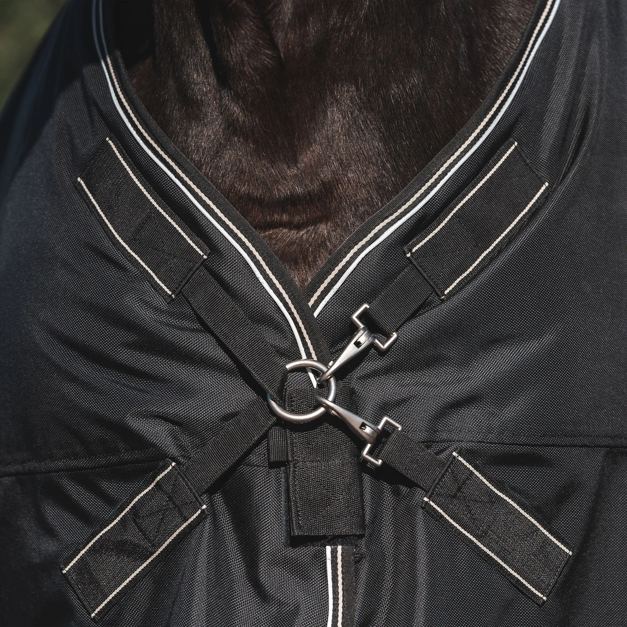 Obsidian Turnout Blanket with Neck Cover