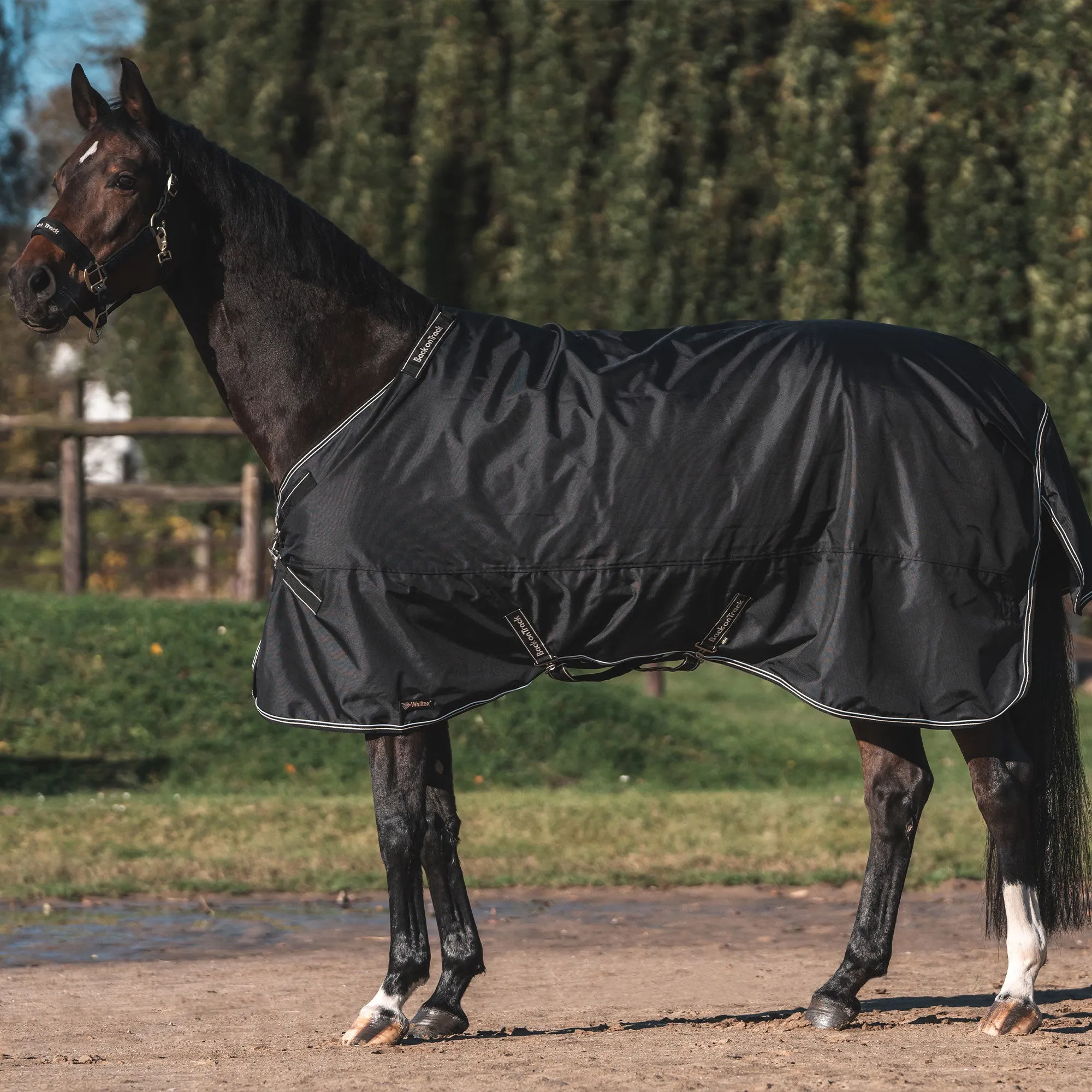 Obsidian Turnout Blanket with Neck Cover