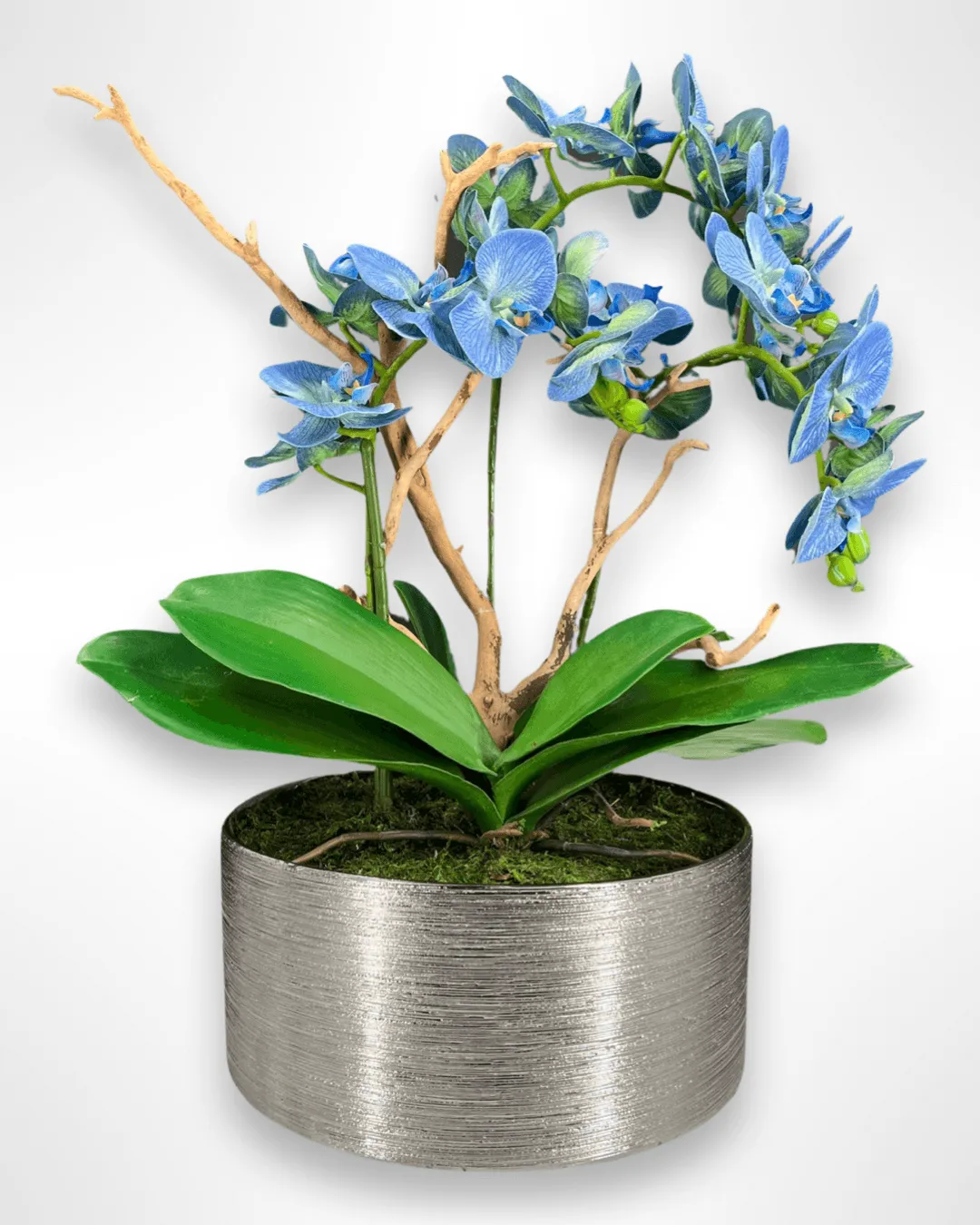 Orchid & Moss Arrangement in Silver Bowl