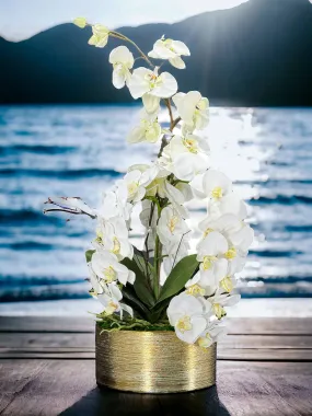 Orchid & Moss Arrangement in Silver Bowl Orchid & Moss Arrangement in Silver Bowl