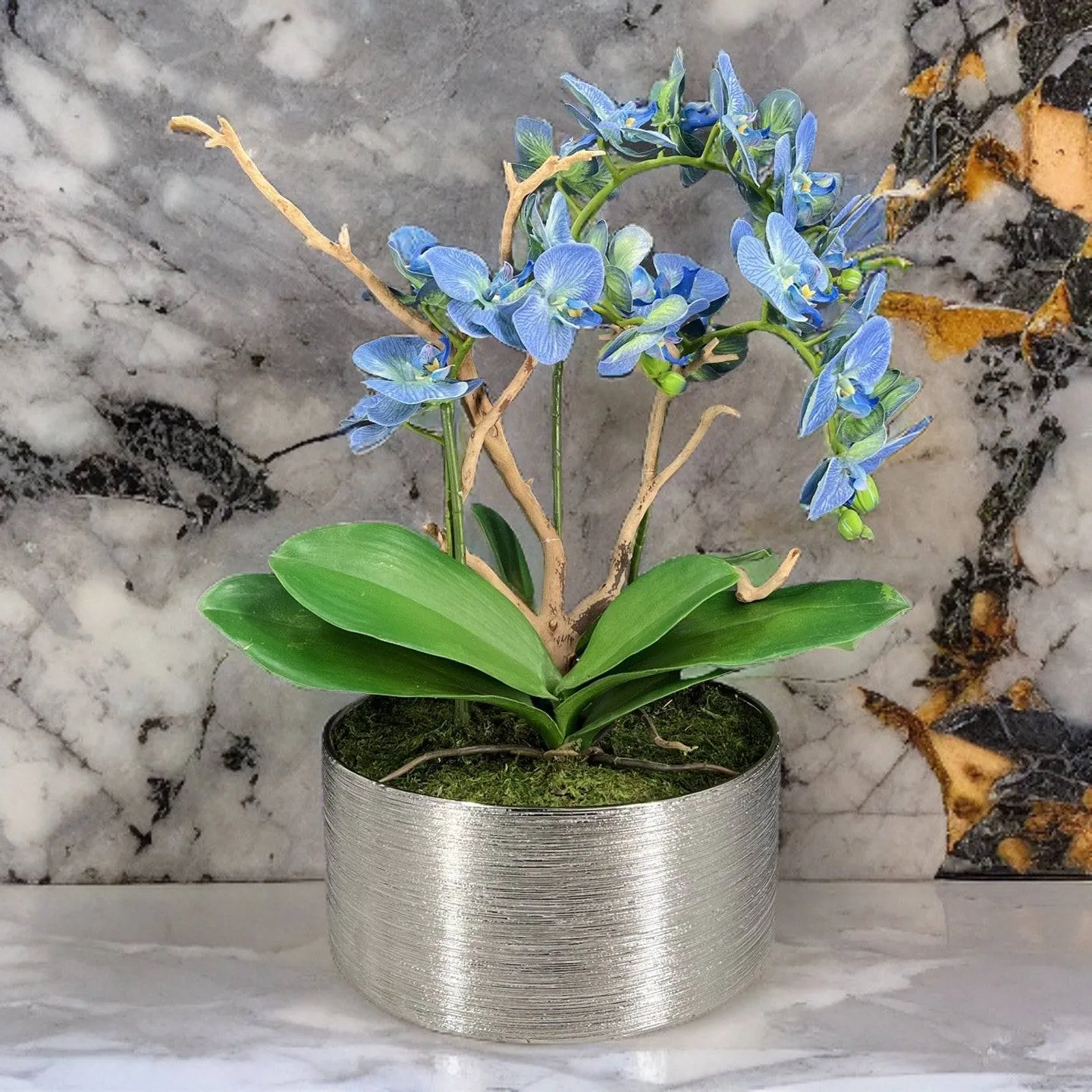 Orchid & Moss Arrangement in Silver Bowl
